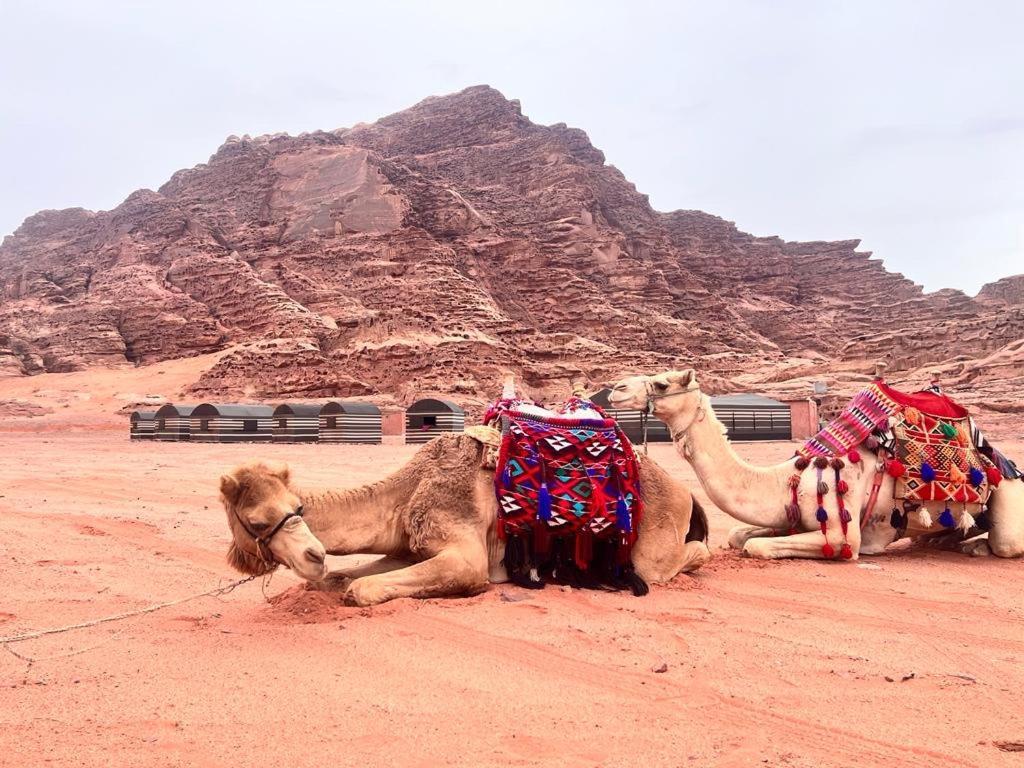 Wadi Rum Sky Tours & Camp Exteriér fotografie
